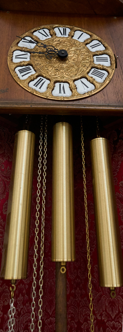 Specialized Expertise